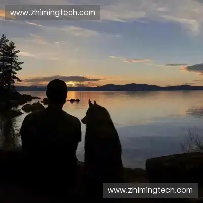严骞南
